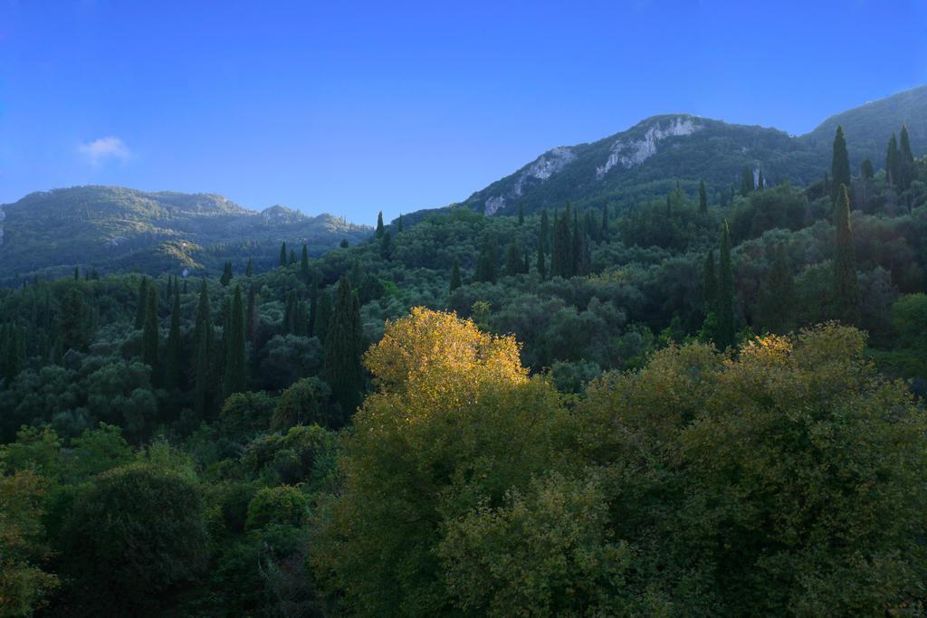 Alexis Apartments Benitses  Rom bilde